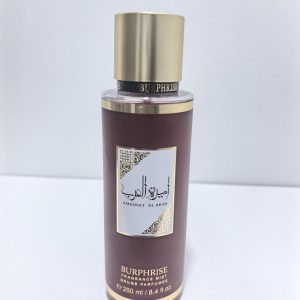 BURPHRISE BODY SPRAY 250ml