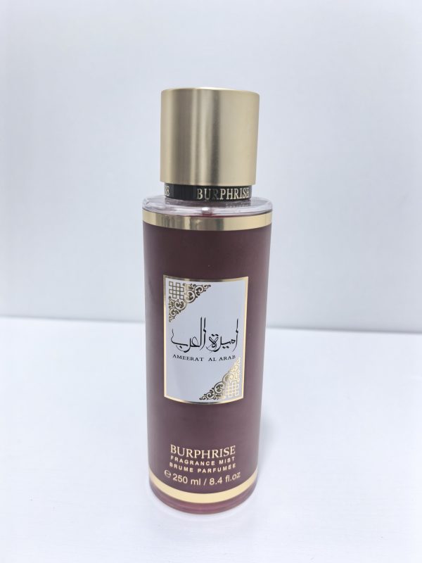 BURPHRISE BODY SPRAY 250ml