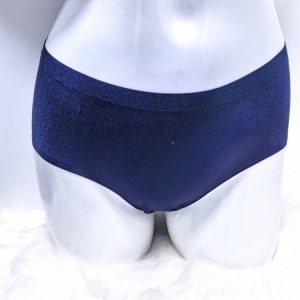 WOMENS NAVY SEAMLESS SILKY UNDERWEAR