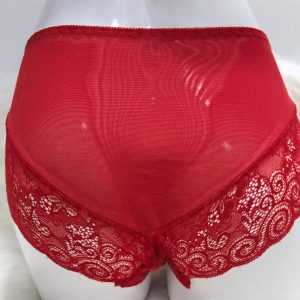 WOMEN’S RED LACE SEAMLESS UNDERWEAR