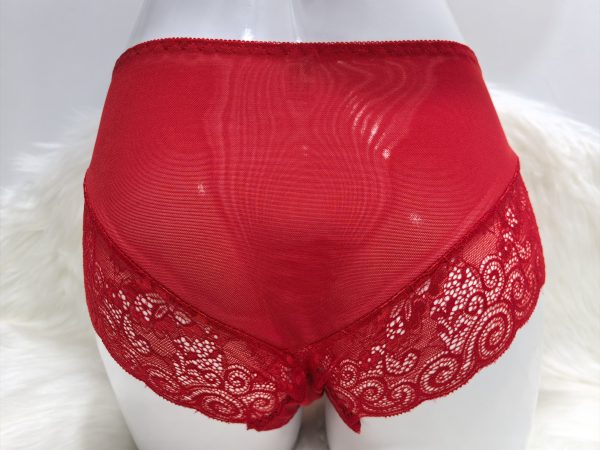 WOMEN'S RED LACE SEAMLESS UNDERWEAR - Image 2