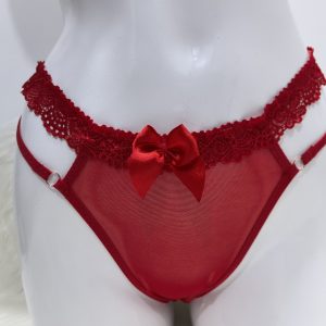 RED LACE UNDERWEAR