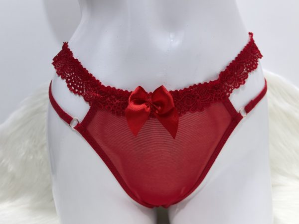 RED LACE UNDERWEAR