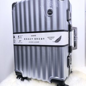 DS SUITCASE