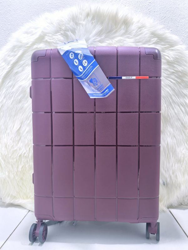 MAROON GAILY SUITCASE